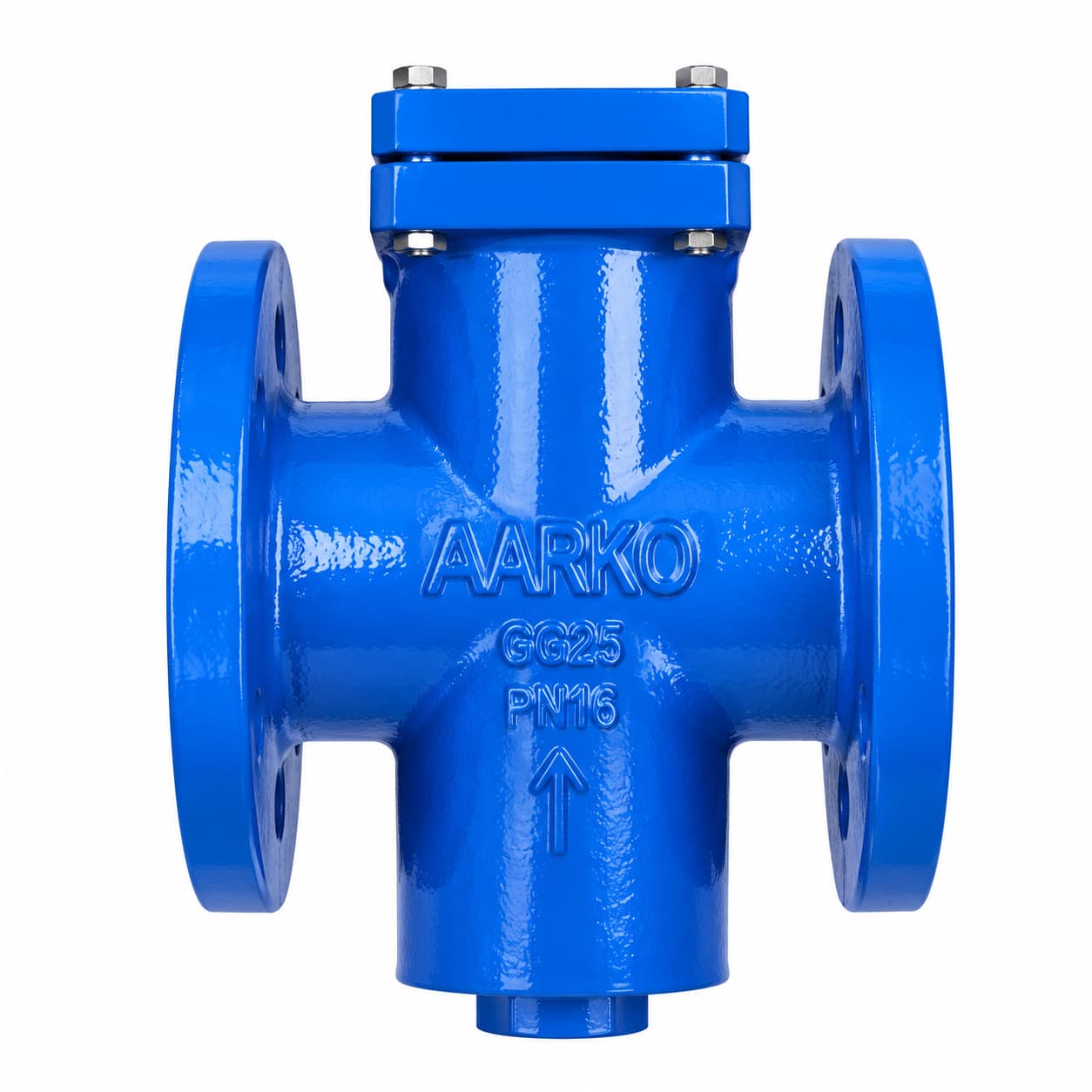 C.I. Non-Return Valve